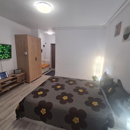 Siriului Studio Bukarest Eksteriør billede