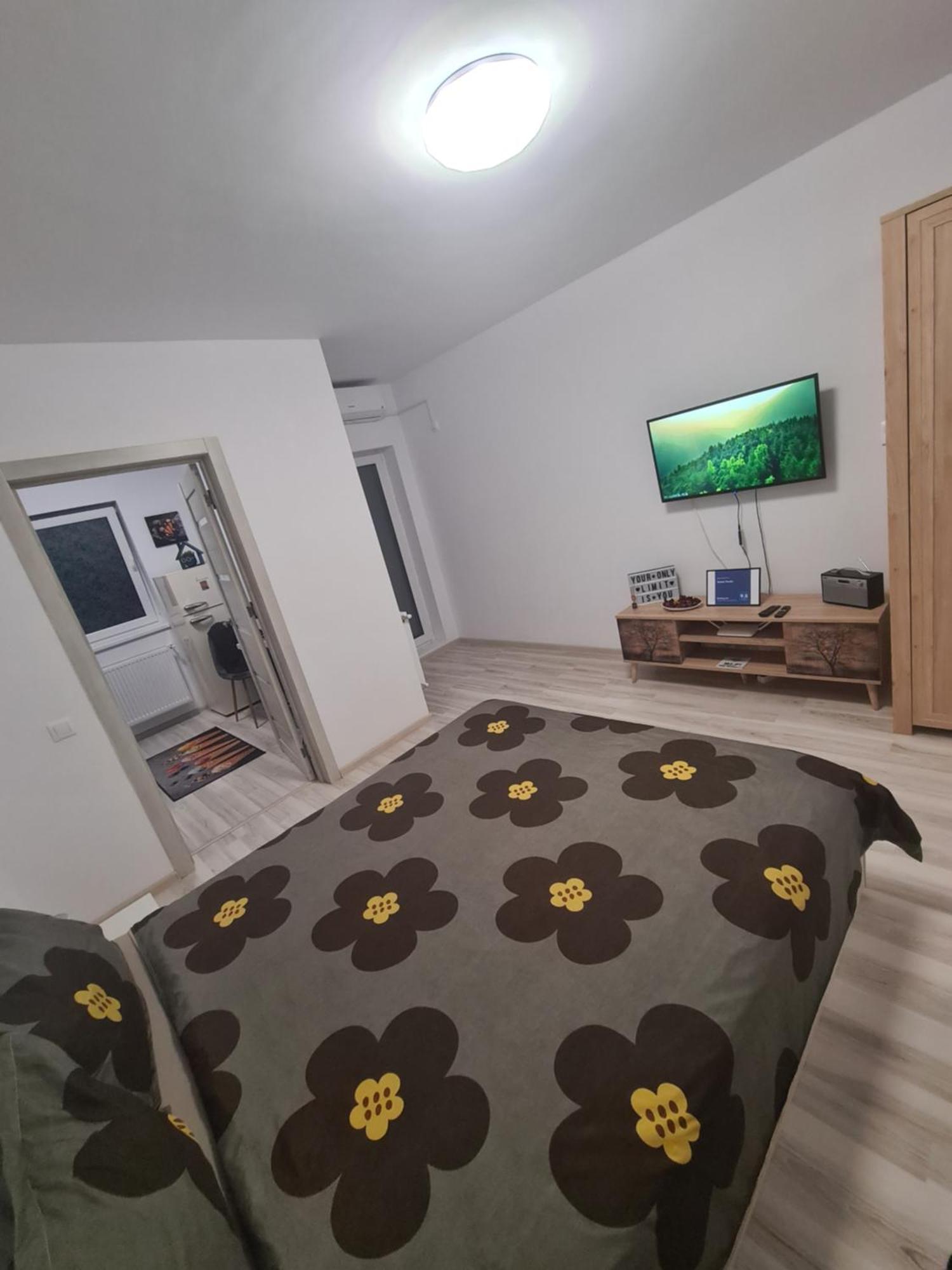 Siriului Studio Bukarest Eksteriør billede